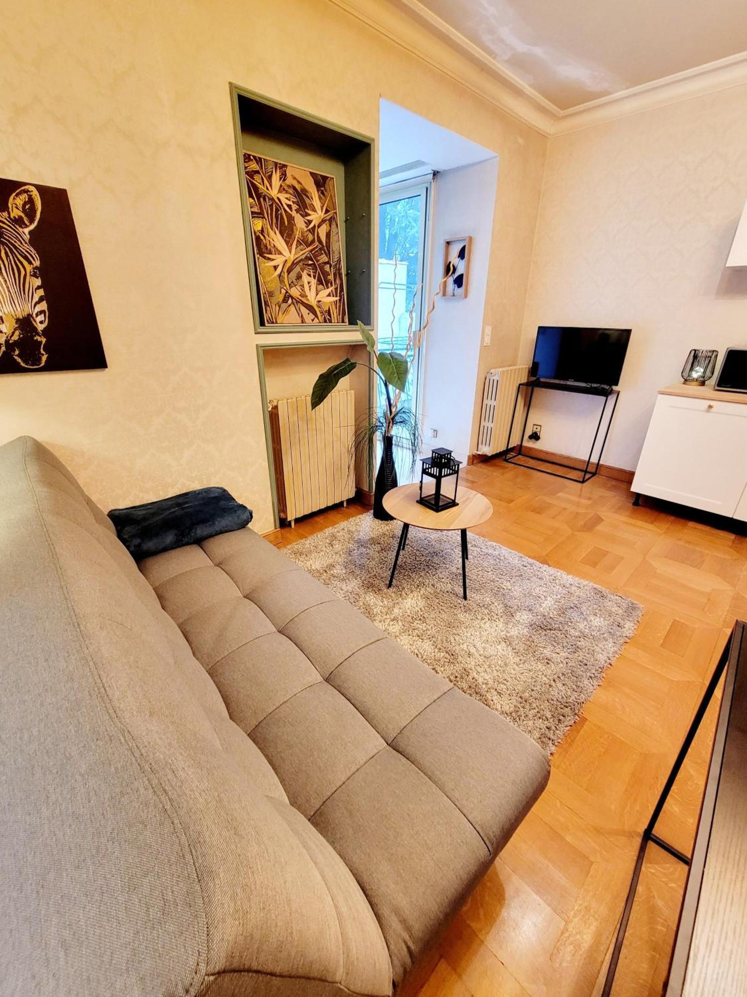 Superbe Appartement Calme Et Spacieux Graulhet Exterior photo